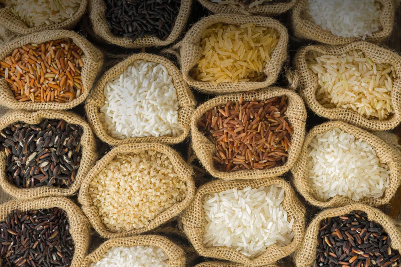 Why Choose Us - Malbriz Ventures